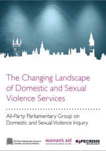 APPG Launch Report on New Inquiry into the Changing Landscape of Domestic and Sexual Violence Services