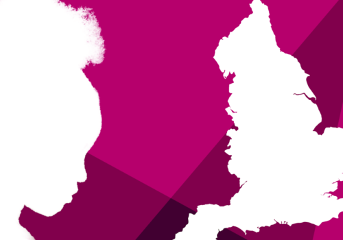 The Domestic Abuse Report 2020: Annual Audit Featured Image Go to page
