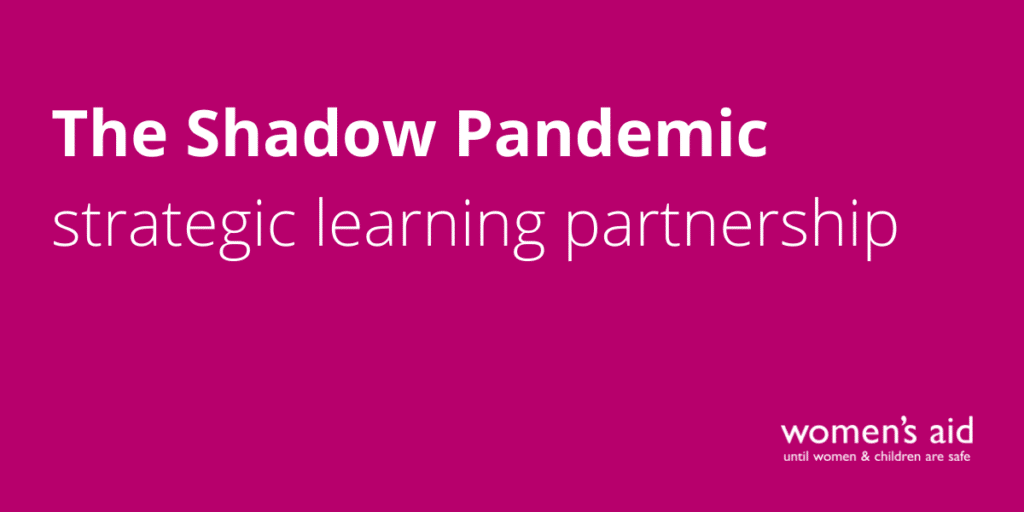 The Shadown Pandemic strategic learning partnership