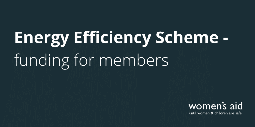 Energy Efficiency Scheme - funding for members